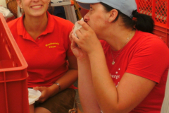 2012 Musikantenfest